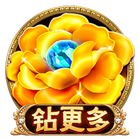 星空娱乐桌面版